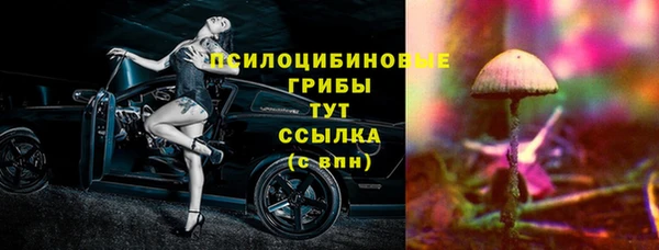 мдпв Волоколамск