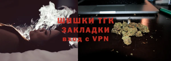 мдпв Волоколамск